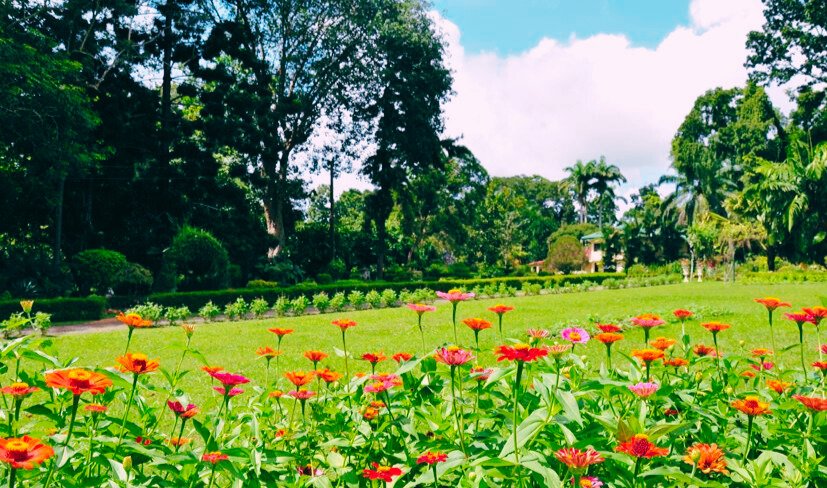 Henarathgoda Botanical Garden