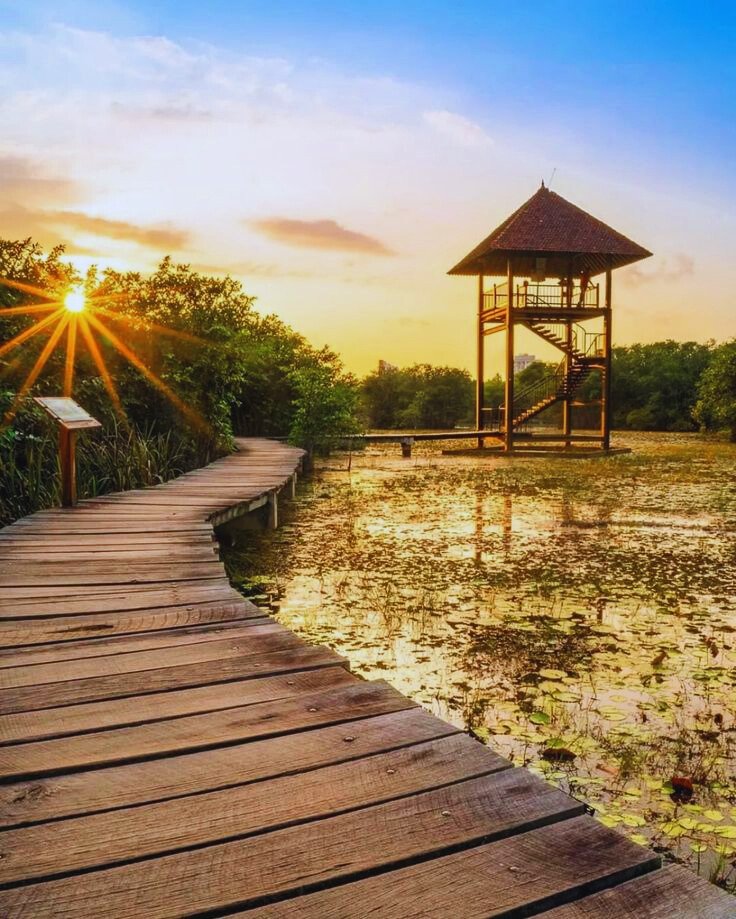 Beddagana Wetland Park