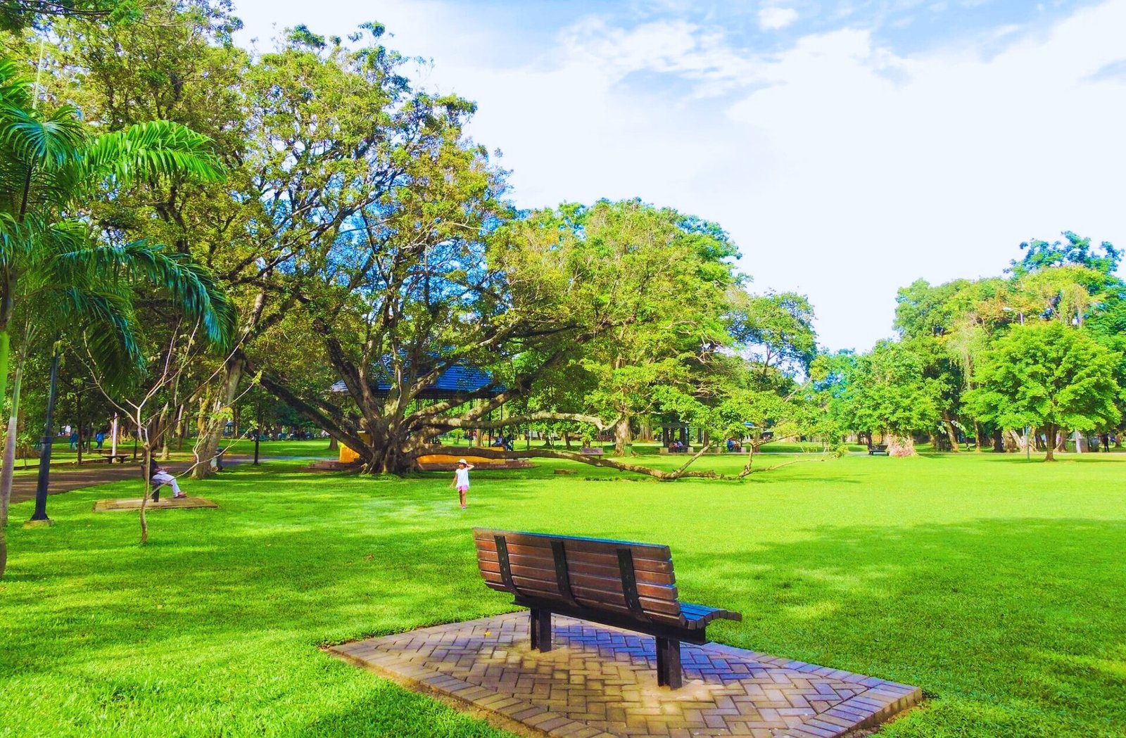 Viharamahadevi Park