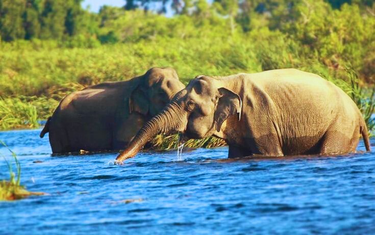 Gal Oya National Park