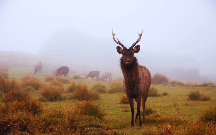 Horton Plains National Park