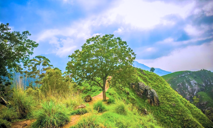 Little Adam's Peak