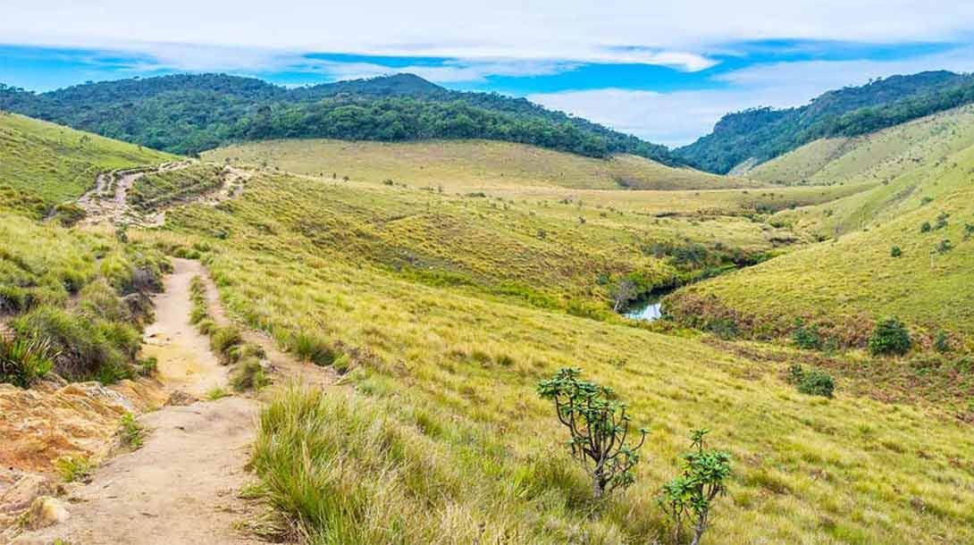 Horton Plains