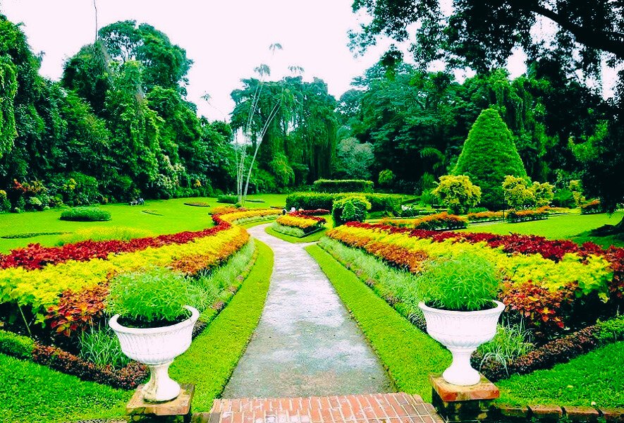 Peradeniya Botanical Garden