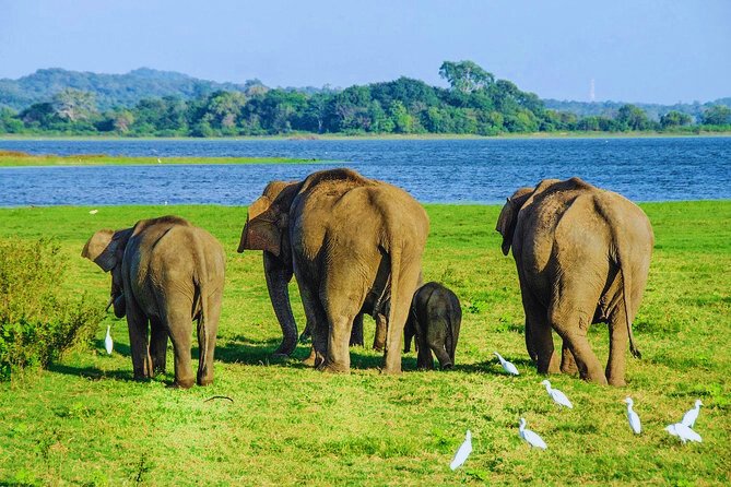 Maduru Oya National Park