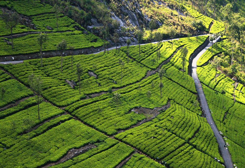 Badulla Scenic View